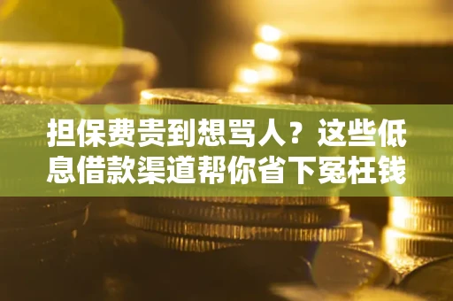 北京担保费贵到想骂人？这些低息借款渠道帮你省下冤枉钱